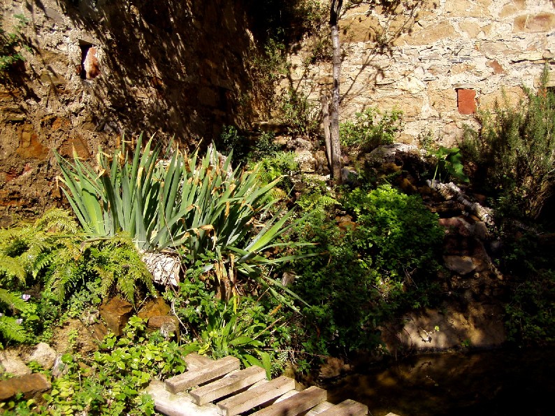 Il Laghetto del Centro di Entomologia - Piombino (LI)